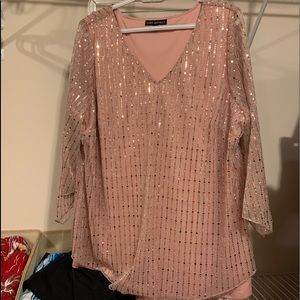 Woman’s fancy blouse. Glittery, loose,lined Perfect for the Holidays!